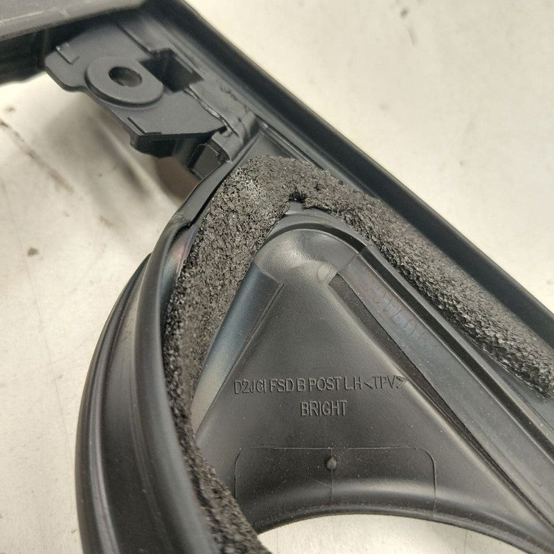 Chevy Volt Door Glass Window Seal Rubber Left Driver Front  2019 2018 