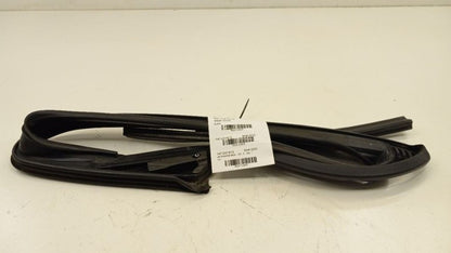 Mini Cooper Countryman Door Glass Window Seal Rubber Left Rear Back 20