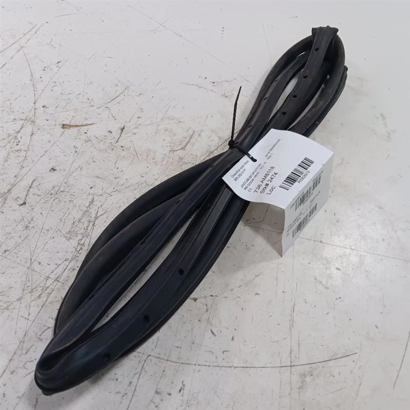 Jeep Renegade On Door Seal Rubber Right Passenger Rear Back  2015 2016