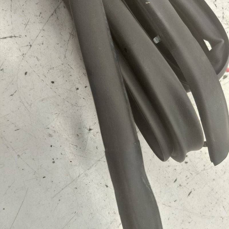 Buick Encore GX On Door Seal Rubber Left Driver Rear Back  2022 2023 2