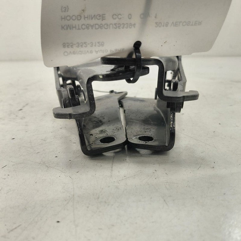 Hyundai Veloster Hood Hinge Set Left and Right  2017 2016 2015 2014