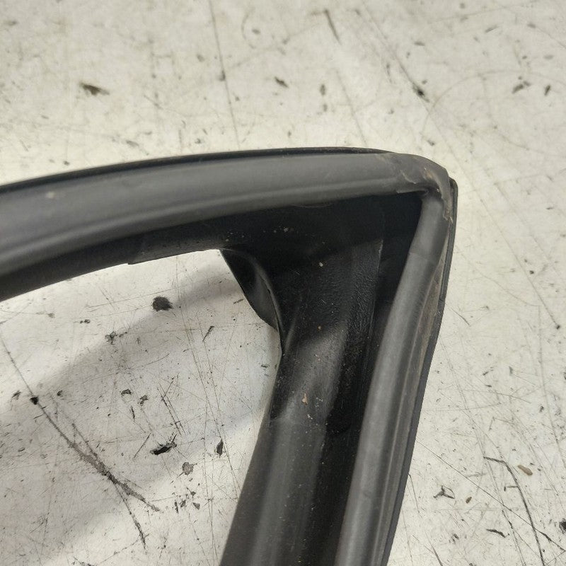 Nissan Murano Door Glass Window Seal Rubber Right Passenger Rear Back 