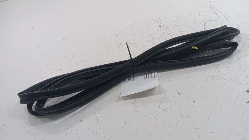Lexus LS460 On Door Seal Rubber Right Passenger Front  2007 2008 2009 