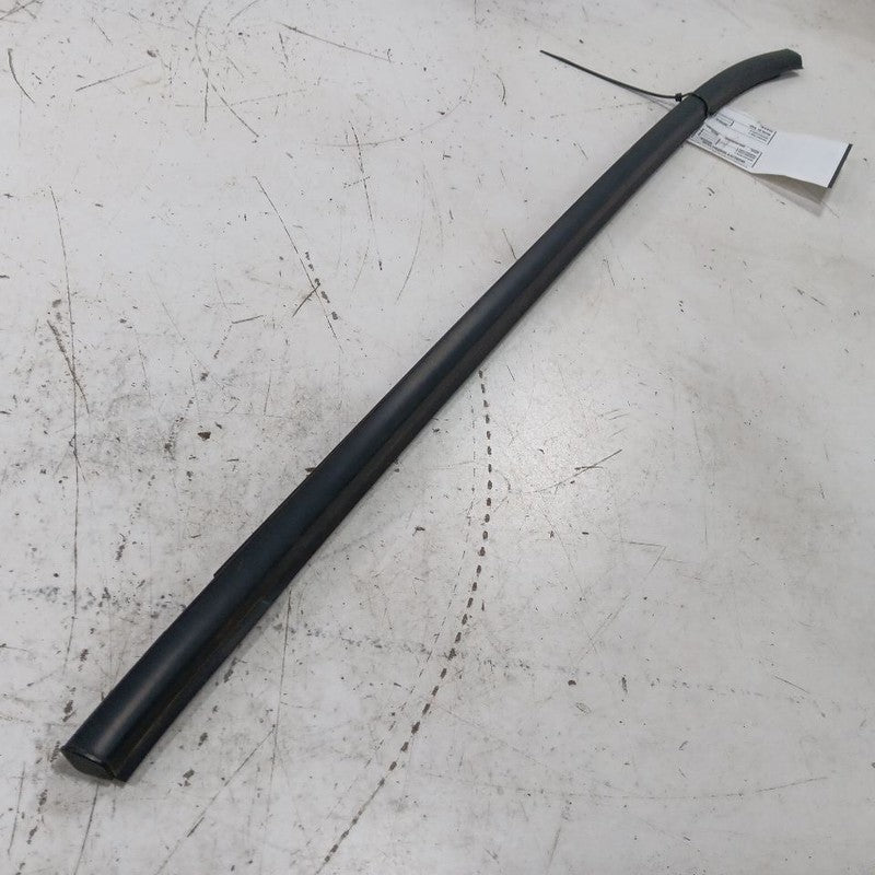Nissan LEAF Door Glass Window Weather Strip Trim Rear Right Passenger 