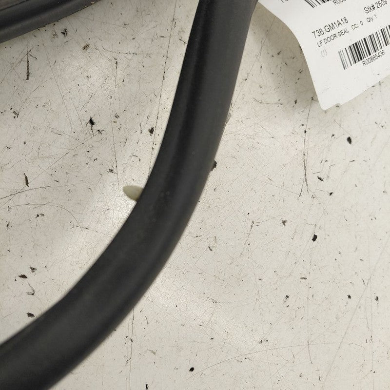 Chevy Volt On Door Seal Rubber Left Driver Front  2019 2018 2017 2016