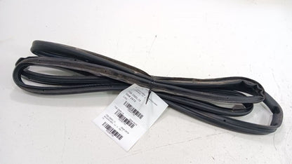 Chevrolet Equinox On Door Seal Rubber Right Passenger Rear Back 2018 2