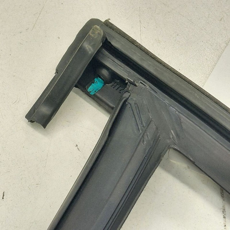 Volvo S60 Door Glass Window Seal Rubber Left Driver Front  2018 2017 2