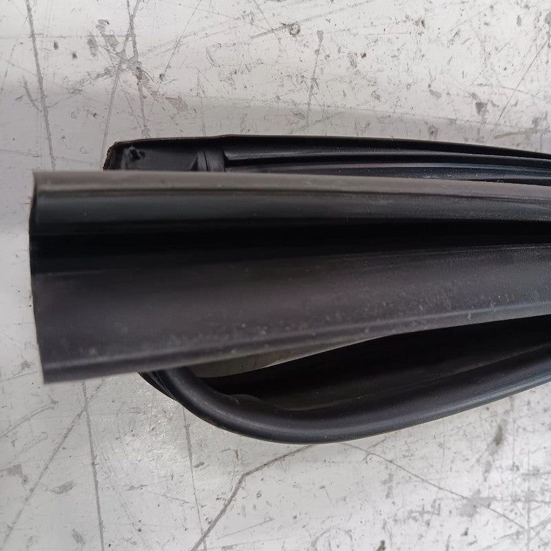 Nissan Maxima Door Glass Window Seal Rubber Left Rear Back 2014 2013 2