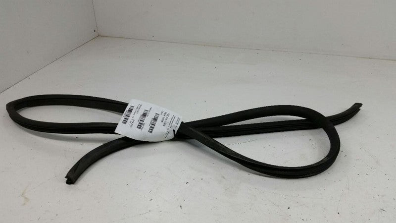Nissan Maxima On Body Door Jamb Seal Gasket Front Right Passenger 2004 2005 OEM