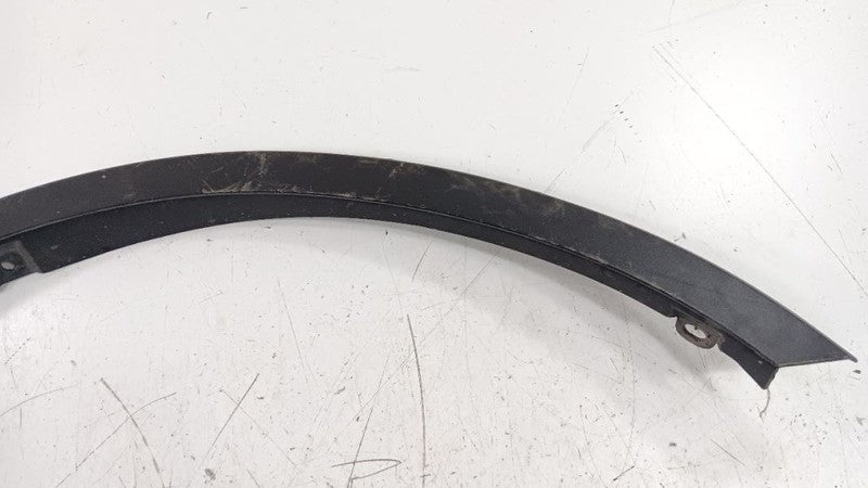 Fender Moulding Molding Trim Strip Passenger RIght Front