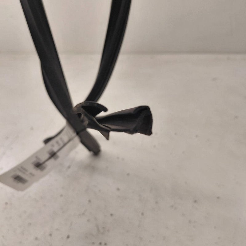 Chevy Trax Door Glass Window Seal Rubber Right Passenger Front  2025 2