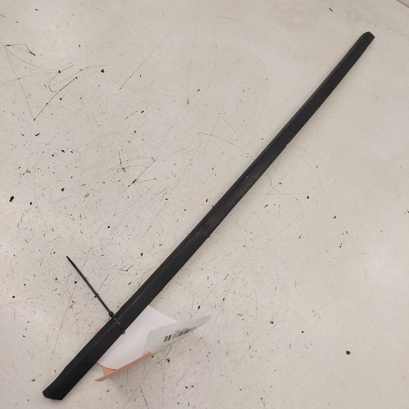 2018 Fiat 500 X Model Door Glass Window Weather Strip Trim Rear Right 
