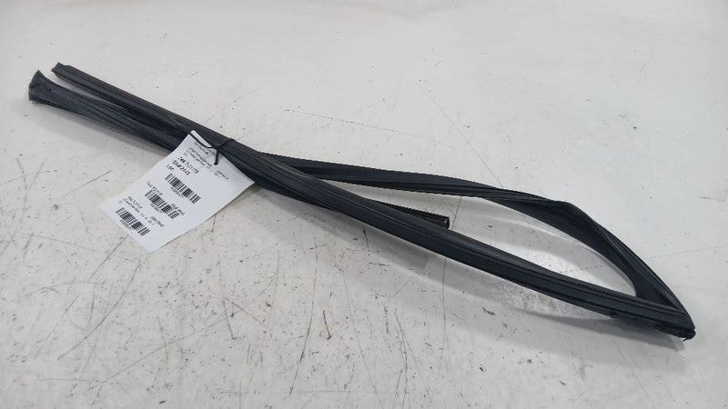 Toyota Rav 4 Door Glass Window Seal Rubber Left Driver Front  2019 2020 2021 202
