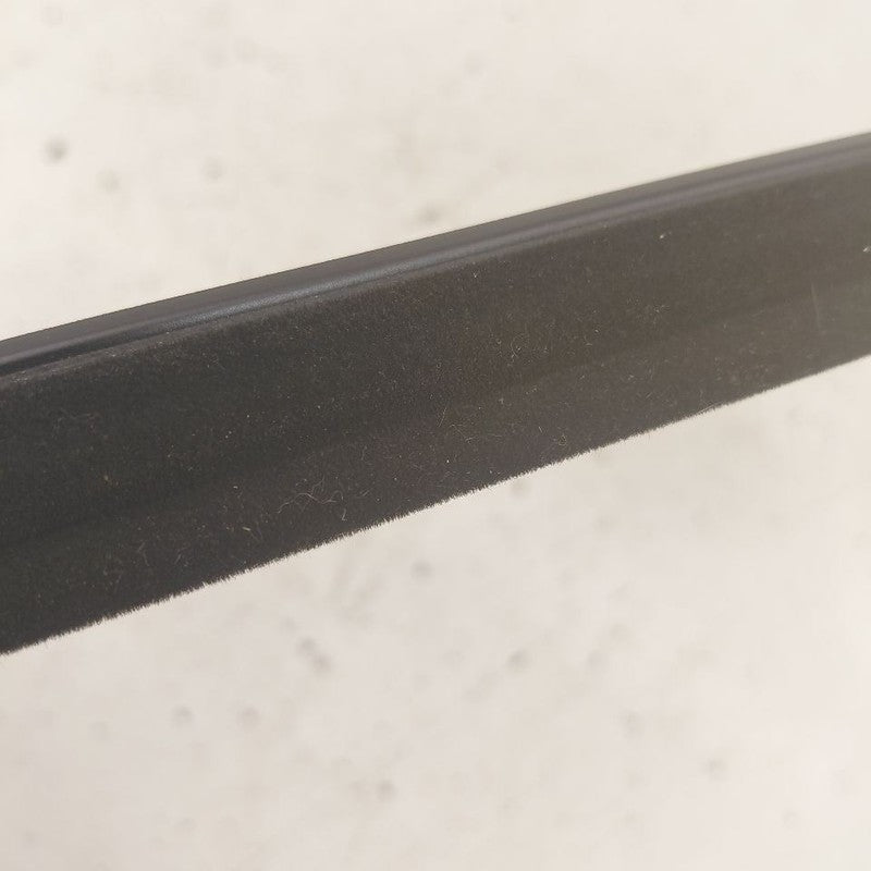 Subaru XV Crosstrek Door Glass Window Weather Strip Trim Rear Left Dri