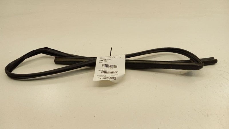 Chevy Traverse Door Glass Window Seal Rubber Left Driver Front 2009 2010 2011 20