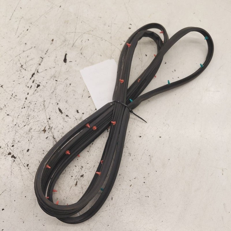 Hyundai Santa Fe On Door Seal Rubber Left Driver Rear Back  2019 2020