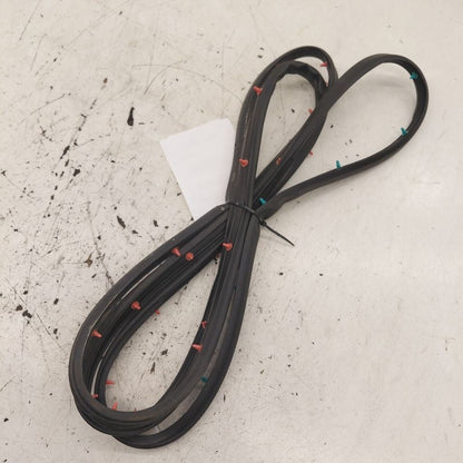 Hyundai Santa Fe On Door Seal Rubber Left Driver Rear Back  2019 2020