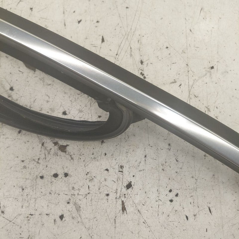 Volvo S60 Door Glass Window Seal Rubber Right Passenger Front  2013 20