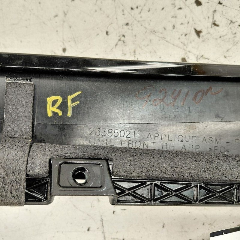 Cadillac CT6 Passenger Right Front Door Applique {23385021} 2018 2017 