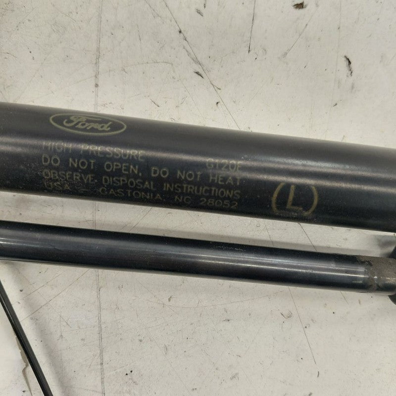 Ford Escape Hatchback Hatch Back Trunk Lid Shock Strut Support  2020 2