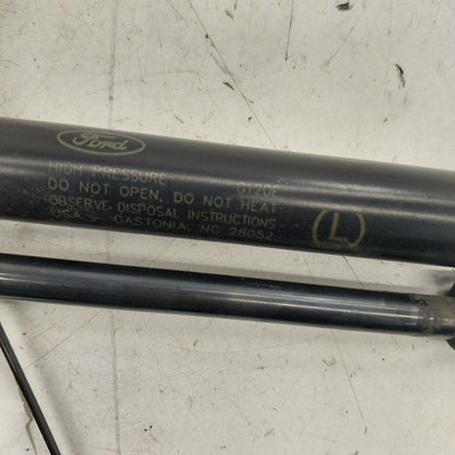 Ford Escape Hatchback Hatch Back Trunk Lid Shock Strut Support  2020 2