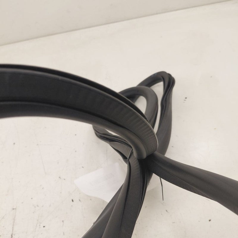 Chevy Volt On Body Door Jamb Seal Rear Right Passenger Back  2016 2017