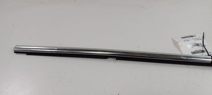 Chevy Cruze Door Glass Window Weather Strip Trim Rear Left Back 2019 2018