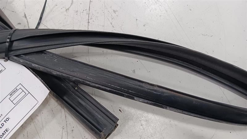 Ford Taurus Door Glass Window Seal Rubber Left Driver Front  2013 2014