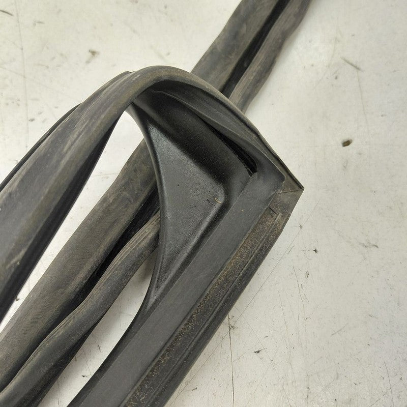 Honda Clarity Door Glass Window Seal Rubber Right Passenger Rear Back 