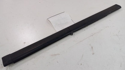 Chevy Trailblazer Door Glass Window Weather Strip Trim Rear Left Back 