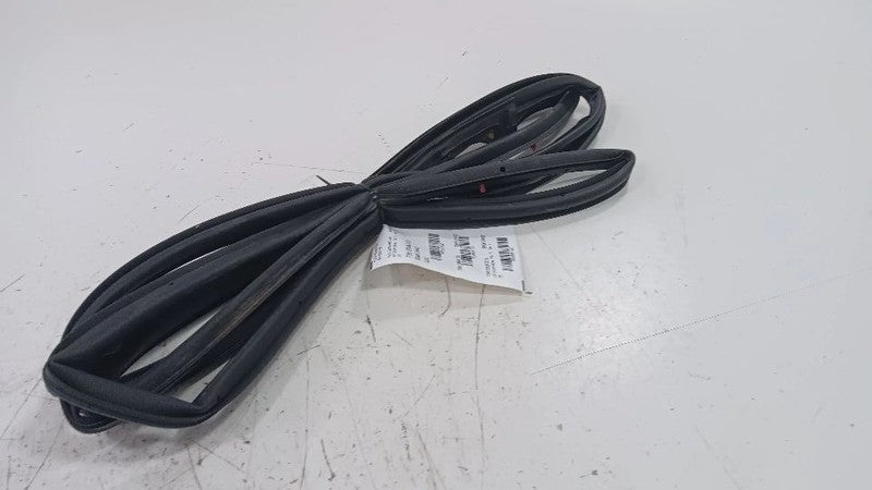 Buick Encore On Door Seal Rubber Left Driver Front  2016 2017 2018 2019