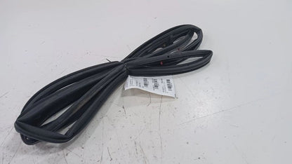 Buick Encore On Door Seal Rubber Left Driver Front  2016 2017 2018 2019