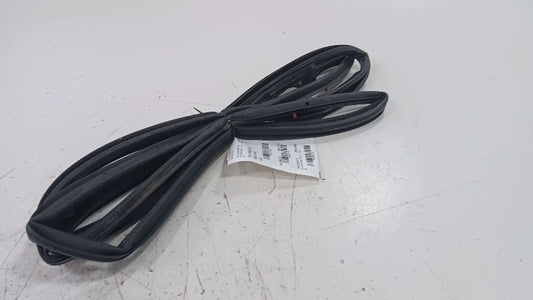 Buick Encore On Door Seal Rubber Left Driver Front  2016 2017 2018 2019