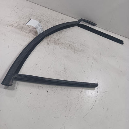 Ford Focus Door Glass Window Seal Rubber Right Passenger Front  2018 2