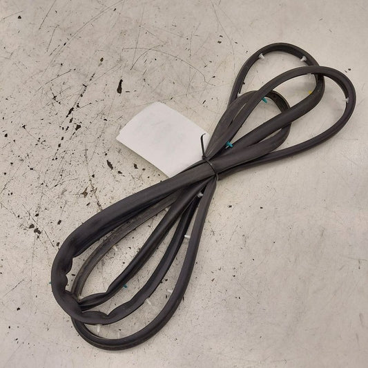 Hyundai Santa Fe On Door Seal Rubber Left Driver Front  2019 2020