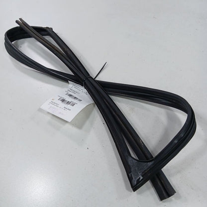 Nissan Altima Door Glass Window Seal Rubber Right Passenger Front  201