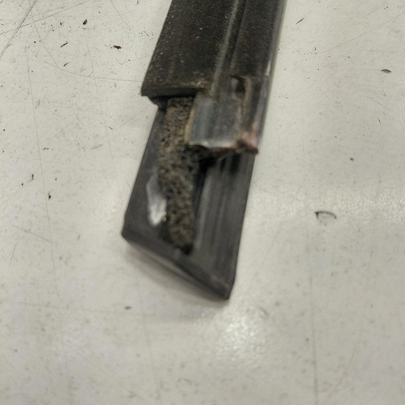 Chevy Volt Door Glass Window Weather Strip Trim Rear Left Driver Back 