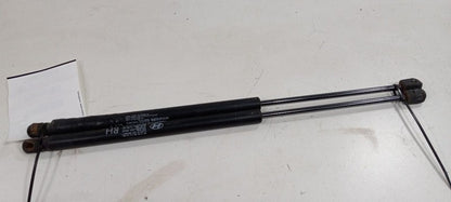 Hyundai Elantra Hatchback Hatch Back Trunk Lid Shock Strut Support 2009 2010 12
