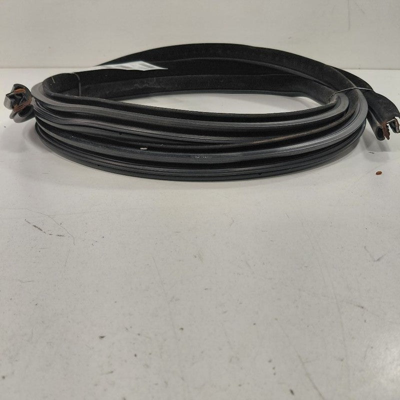 Chrysler 300 On Body Door Jamb Seal Gasket Front Left Driver  2017 201