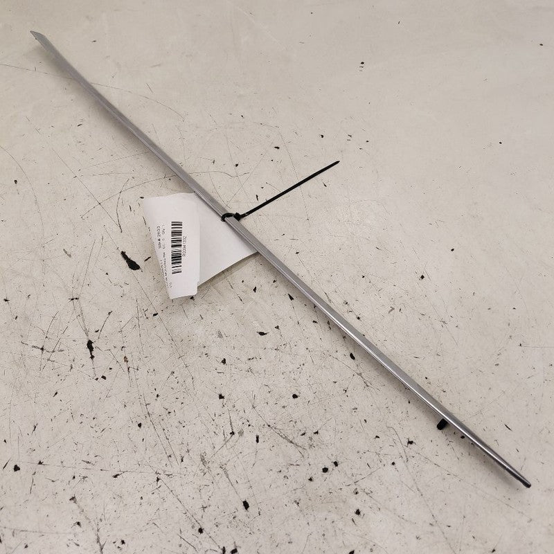 Cadillac CT6 Door Molding Trim Strip Right Passenger Side Rear Back  2