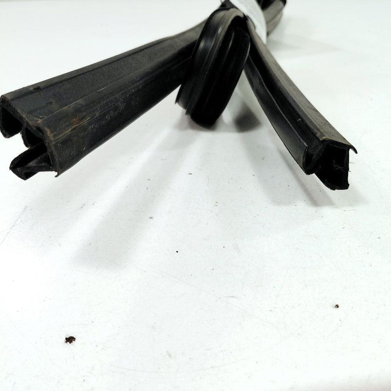 Chrysler 300 Door Glass Window Seal Rubber Right Passenger Front 2017 