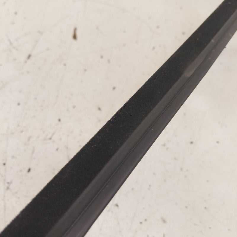 Honda HR-V Door Glass Window Weather Strip Trim Rear Left Driver Back 