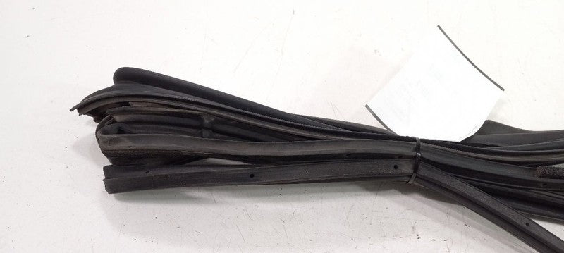 Lexus GS350 On Door Seal Rubber Right Passenger Front 2007 2008 2009 O