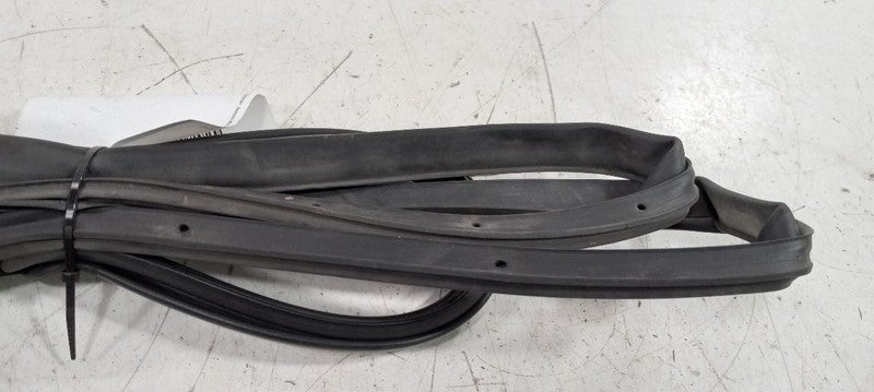 Hyundai Sonata On Door Seal Rubber Left Rear Back 2011 2012 2013 OEM