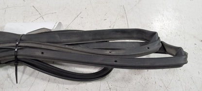 Hyundai Sonata On Door Seal Rubber Left Rear Back 2011 2012 2013 OEM