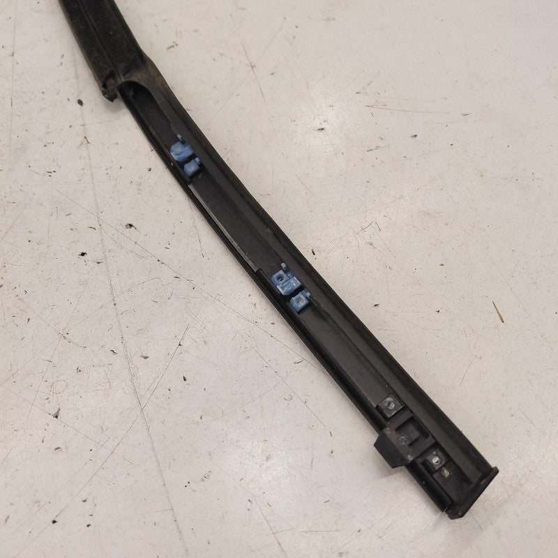 Honda Clarity Door Glass Window Weather Strip Trim Front Left Driver  