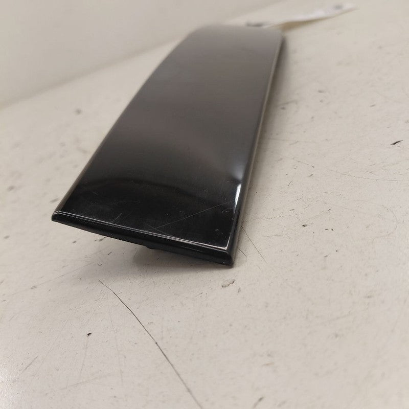 Ford Escape Passenger Right Front Door Applique Molding {LJ6BS20898AAW