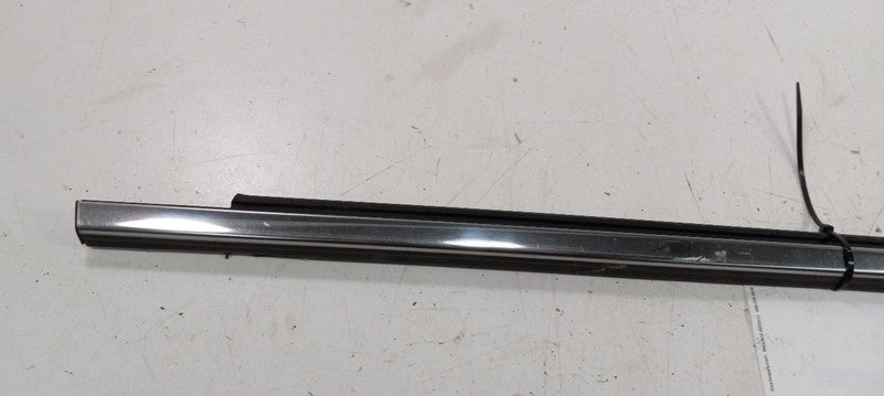 Chevy Equinox Door Glass Window Weather Strip Trim Rear Right Passenge