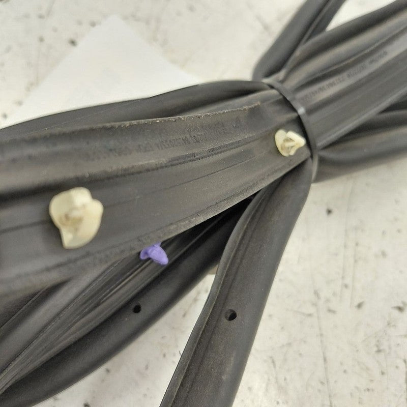 Chevy Volt On Door Seal Rubber Right Passenger Rear Back  2016 2017 20