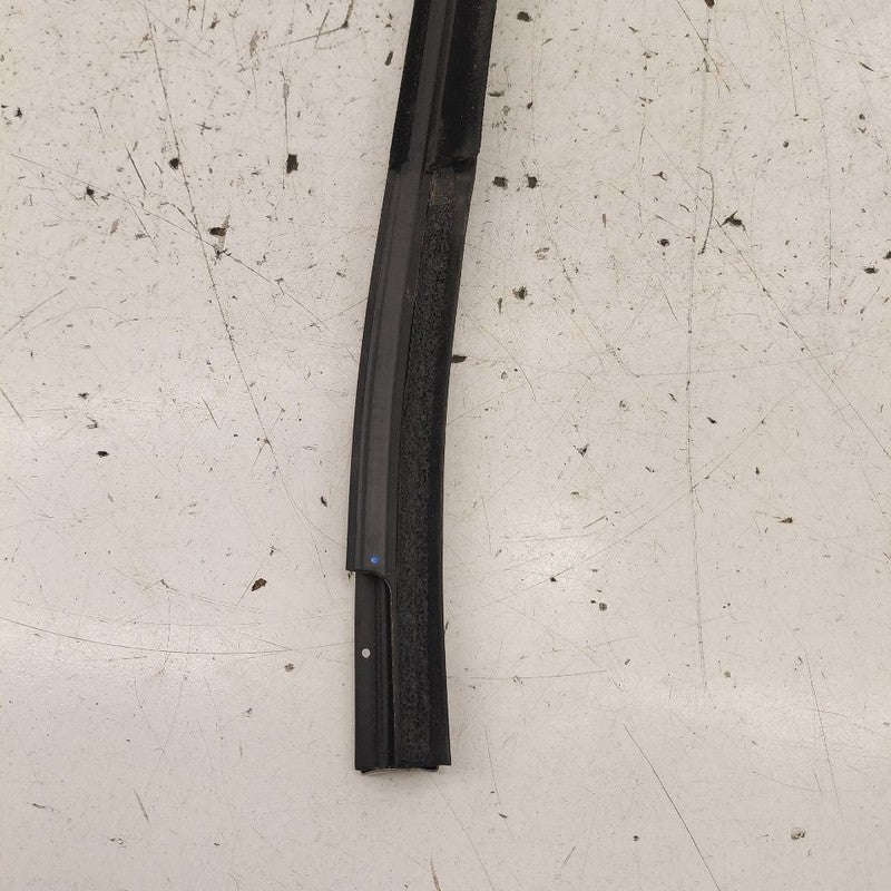 Chevy Equinox Door Glass Window Weather Strip Trim Front Left Driver  